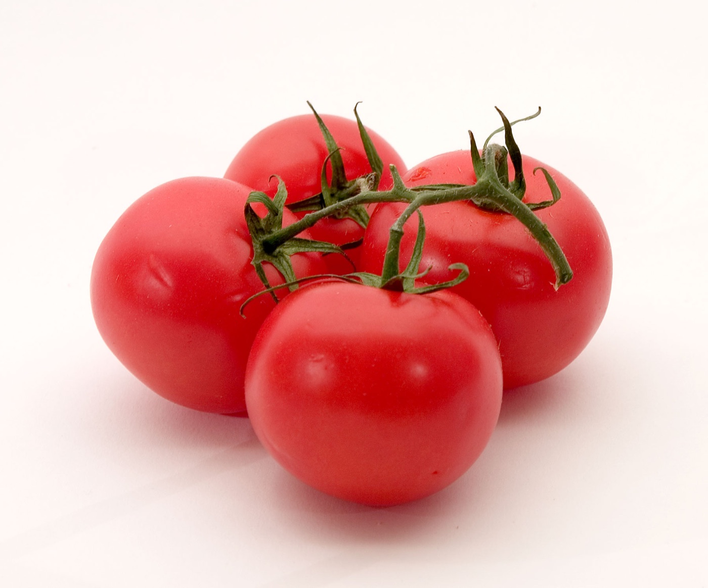 Ripe red tomatoes on the vine